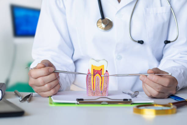 Best Urgent Dental Care in Daphne, AL
